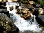 Da Carona al Monte Masoni dal Venina, discesa dalla Valsambuzza (11 ott.08)  - FOTOGALLERY